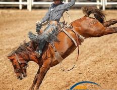 南宫28-Karsa赛事官方发布败北新规，加拿大队争议不断！的简单介绍