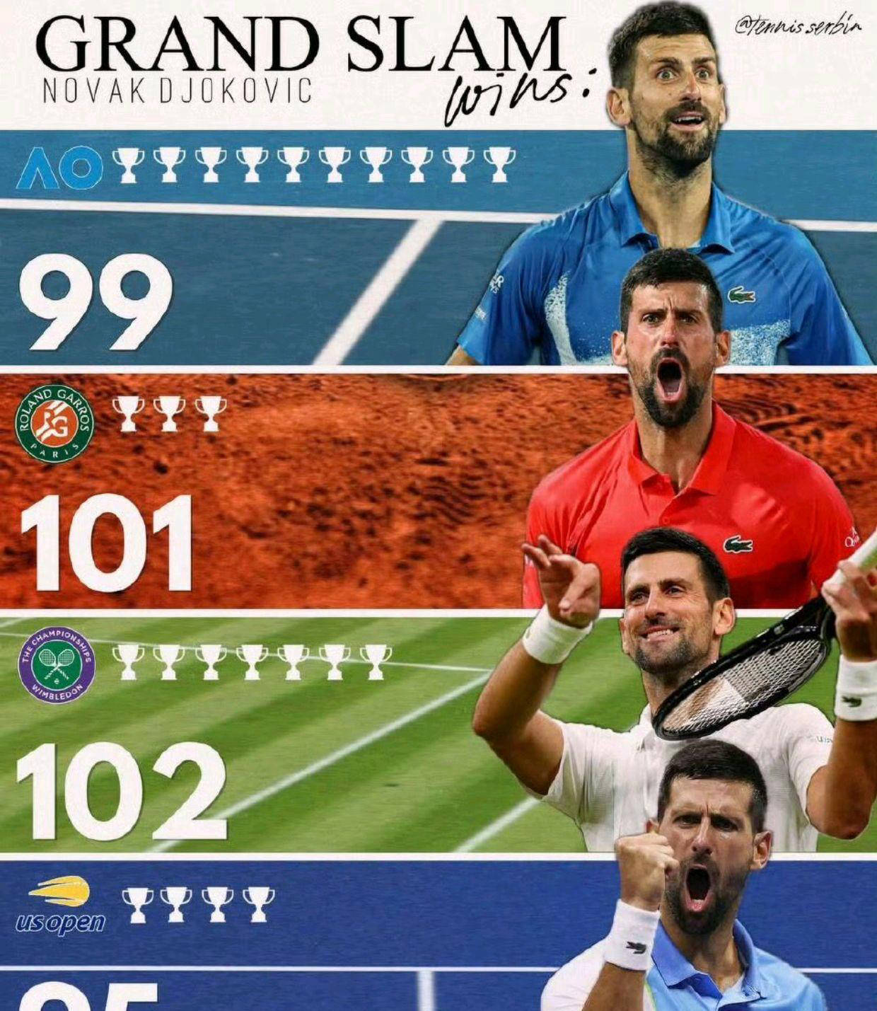 南宫娱乐- 德约科维奇回塞尔维亚庆祝夺金 